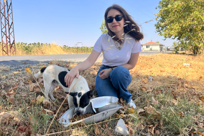 TREDAŞ’ın Armatürleri, Sokak Hayvanları İçin Hayatı Aydınlatıyor