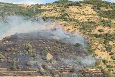 Tekirdağ'da Makilikte Çıkan Yangına Müdahale Ediliyor