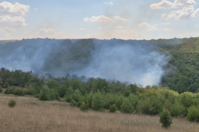 Tekirdağ'da Orman Yangını