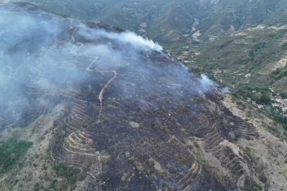 Tekirdağ Valiliği: "Uçmakdere'deki Orman Yangını Kontrol Altına Alındı"