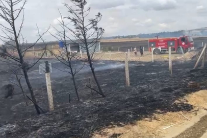 Tekirdağ'da Çıkan Anız Yangını Söndürüldü