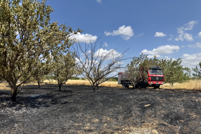 Kırklareli'nde Meyve Bahçesinde Çıkan Yangın Söndürüldü