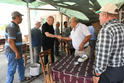 AK Parti Çanakkale Milletvekili Gider, Ayvacık'ta Yangından Etkilenen Köyleri Ziyaret Etti