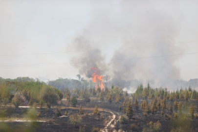 Kırklareli'nde Ağaçlık Alanda Çıkan Yangın Nedeniyle Avrupa Otoyolu Trafiğe Kapatıldı