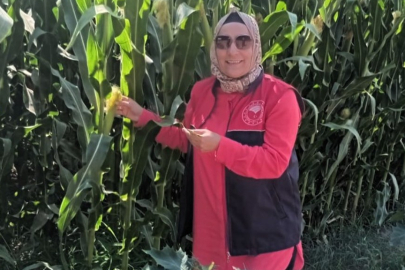 Babaeski’de Mısır Ekiliş Alanlarında Düzenli Teknik Kontroller Sürdürülüyor