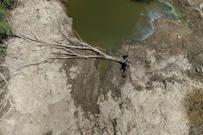 Kırklareli'nde Aşırı Sıcaklar Teke Deresi'ni Susuz Bıraktı