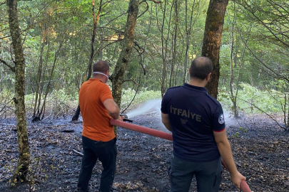 Kırklareli'nde Çıkan Orman Yangını Söndürüldü