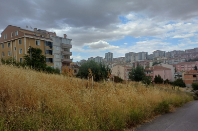 Şükrüpaşa’daki Kuru Otlar Yangına Davetiye Çıkarıyor