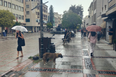 Edirne’de Yağmur Serinliği
