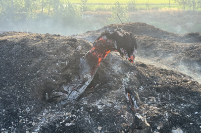 Edirne'de Tunca Nehri Kenarında Çıkan Yangın Söndürüldü