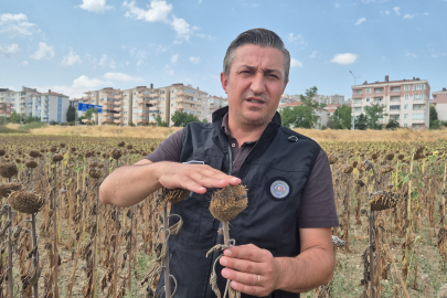 Kendilerine Kepçeyle, Çiftçiye Çay Kaşığıyla: Trakya Birlik'e Tepki Büyüyor