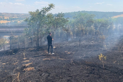 Babaeski'de Ağaçlık Alanda Çıkan Yangın Söndürüldü