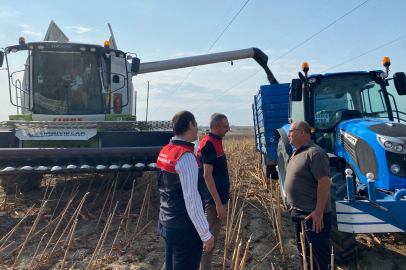 Kaymakam, Üreticiyle Ayçiçeği Hasat Etti