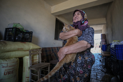 Çanakkale'de Orman Yangınında Kaybettiği Kedisi "Boncuk"a Kavuşan Kevser Teyze Mutlu Oldu