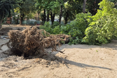 Kırklareli’nde Şiddetli Rüzgar 4 Ağacı Devirdi
