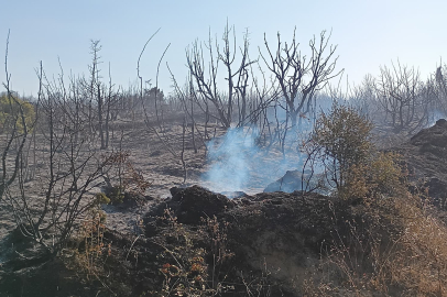 Tekirdağ’da 50 Dönümlük Makilik Alan Zarar Gördü