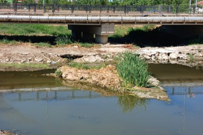 Babaeski Şeytan Deresi’nde Balık Ölümleri İçin İnceleme ve Denetimler Sürüyor