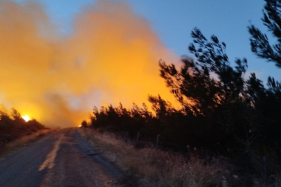 Çanakkale'deki Orman Yangınını Çıkarma Şüphesiyle Gözaltına Alınan 4 Şüpheli Salındı