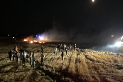 Edirne'de Anız Yangını Ormana Sıçramadan Söndürüldü