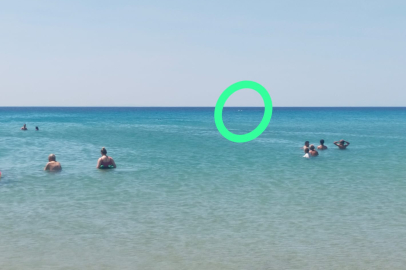 Saros Sahilinde Can Pazarı