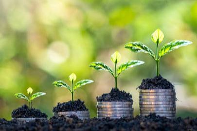 2025 Yılı Sertifikalı Fidan Kullanım Desteklemeleri Askıya Çıkarıldı