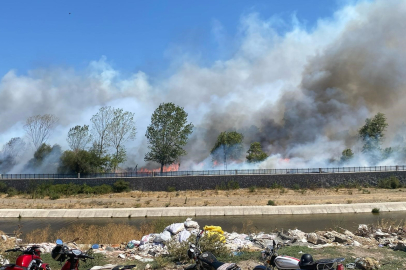 Ayvacık'ta Çöplük Alanda Çıkan Yangın Ormana Sıçradı