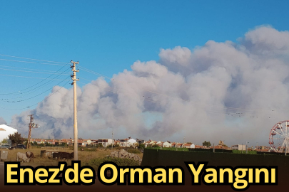 Enez’de Orman Yangını