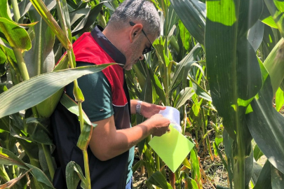 Kırklareli İl Tarım ve Orman Müdürlüğü'nden Zararlı Takibi