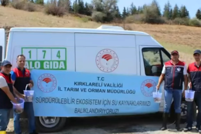 Kırklareli’ndeki Su Kaynakları Yavru Sazan Balıklarıyla Zenginleşti