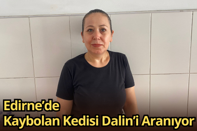Edirne’de Kaybolan Kedisi Dalin’i Arıyor