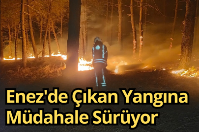 Enez'de Çıkan Yangına Müdahale Sürüyor