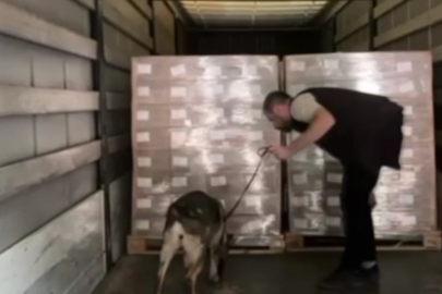 Gümrük Muhafaza Ekipleri Bir Haftada Yaklaşık 1,4 Ton Uyuşturucu Ele Geçirdi