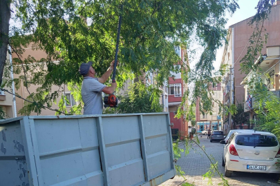 Muratlı Belediyesi’nden İlçe Genelinde Temizlik ve Bakım Çalışmaları