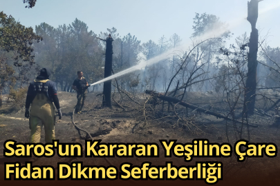 Saros'un Kararan Yeşiline Çare Fidan Dikme Seferberliği