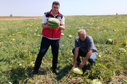 Aksoy’dan Hayrabolu’da Karpuz Üreticisine Ziyaret