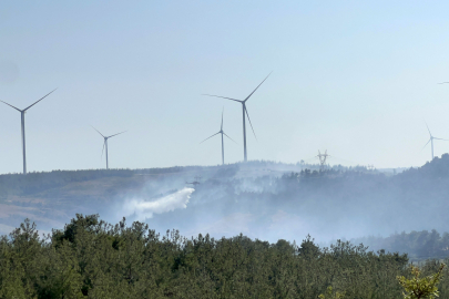 Çanakkale'de Orman Yangınına Müdahale Kapasitesi Arttırıldı