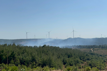 Çanakkale’deki Orman Yangını Kontrol Altında