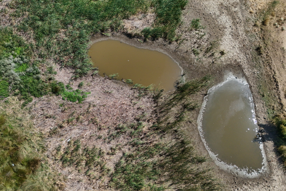 Kırklareli'nin Sazlık Göleti Kuraklık Nedeniyle Kuruma Noktasına Geldi