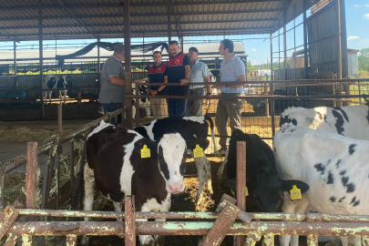 Pınarhisar Kaymakamı Özderin’den Hayvancılık İşletmesine Ziyaret
