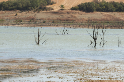 Tekirdağ'daki Yazır Göleti'nin Su Seviyesi Kuraklığın Etkisiyle Yüzde 4'e Düştü
