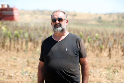 Trakya'da Aşırı Sıcaklık Nedeniyle Ayçiçeği Hasadı Son Yıllarda Erken Başlıyor