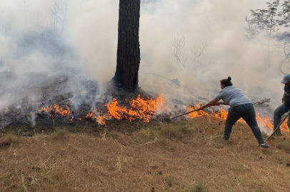 Çanakkale'de Çıkan Orman Yangınına Müdahale Ediliyor