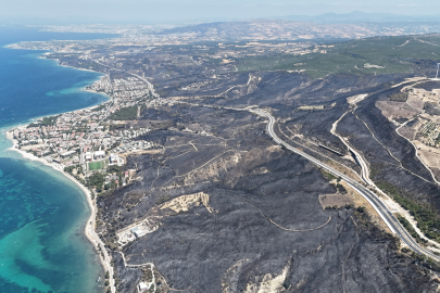 Çanakkale'de Yangından Geriye Bu Acı Tablo Kaldı