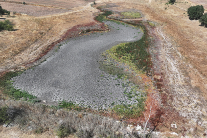 Edirne'deki Küçükdöllük Göleti Kuraklık Nedeniyle Tamamen Kurudu