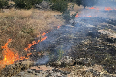 Ergene’de Çıkan Ot Yangını İtfaiye Ekiplerince Söndürüldü