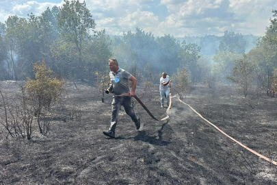 Kırklareli'nde Çıkan Orman Yangını Söndürüldü