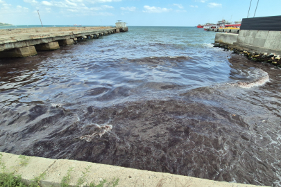 Poyraz Kızıl Yosun Getirdi