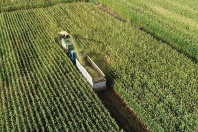 Tarım-ÜFE Yıllık Yüzde 44,32 Arttı