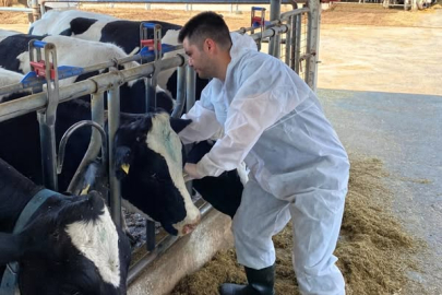 Kırklareli’nde Hayvan Sağlığı İçin Rutin Kan Numunesi Alımı