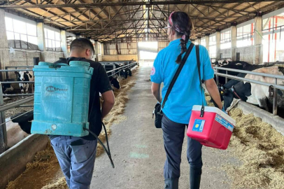 Tekirdağ’da Hayvan Hastalıklarına Karşı Aşılama Çalışmaları Devam Ediyor